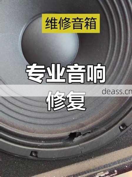 音箱坏了哪里修靠谱？用户好评维修点介绍！