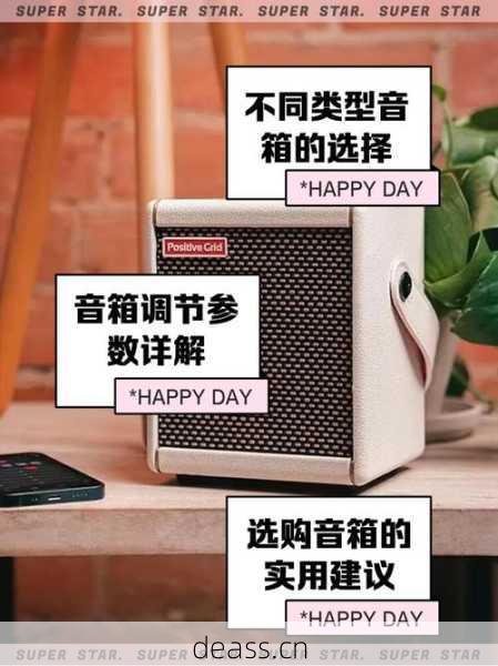 电吉他音箱去哪修降噪,选对维修点真的很重要!