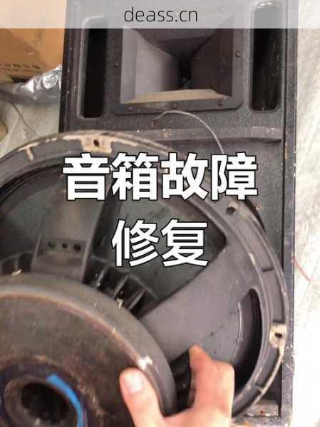 bw音箱维修经验分享,这几家维修中心服务最靠谱