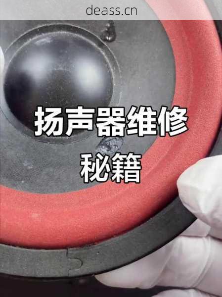 甲盾音箱维修视频教程（详细步骤手把手教你修）