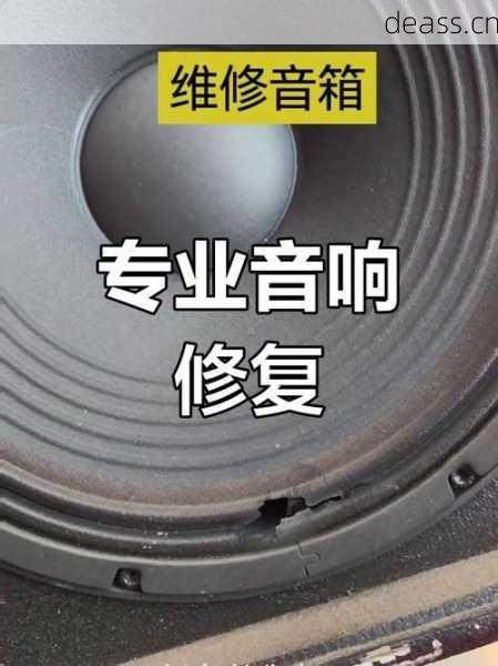 枣阳专业音箱维修公司靠谱吗?用户真实评价告诉你答案!