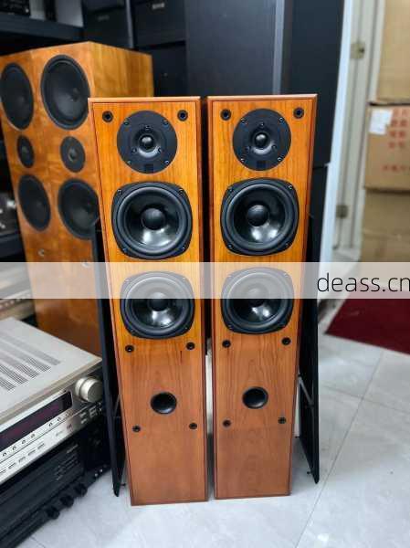 达尼音箱杭州维修哪家强?声音嗡嗡响快速搞定方案!